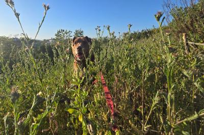 2024-05-05 18.33.40.jpg