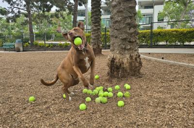 2024-05-31 08.26.10.jpg