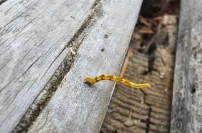 2024-06-30 18.11.02.jpg