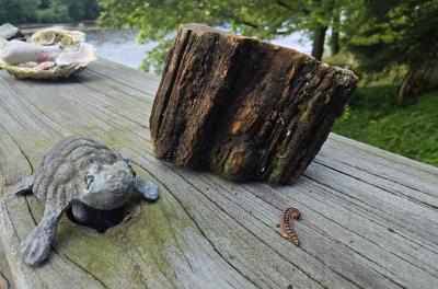 2024-07-13 08.28.13.jpg