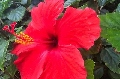 2024-07-18 19.53.36.jpg