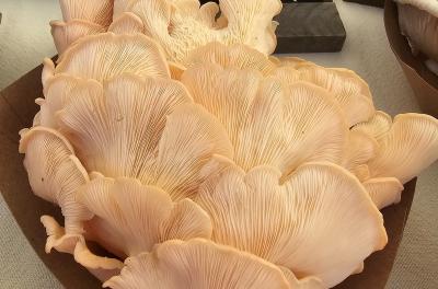 2024-08-03 10.22.02.jpg