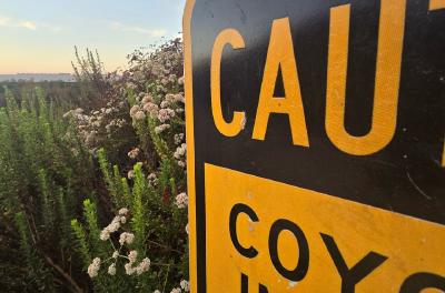 2024-08-11 19.47.02.jpg