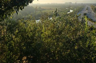 2024-08-10 18.55.40.jpg