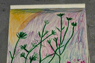 2024-08-13 20.30.08-1.jpg