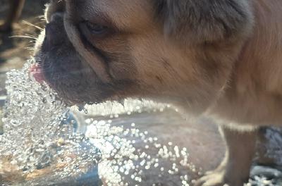 2024-08-15 09.06.29.jpg