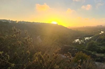 2024-08-16 19.23.27.jpg