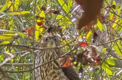 2024-08-27 10.11.51.jpg