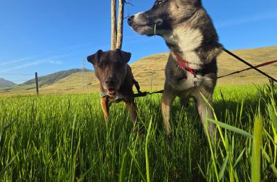 2024-04-21 18.29.05.jpg