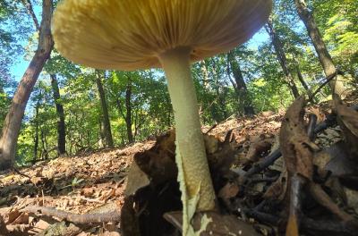 2024-09-01 12.14.41.jpg