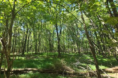 2024-09-01 11.14.30.jpg