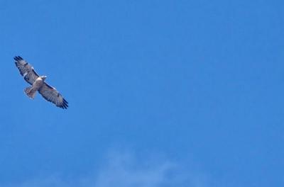 2024-08-29 16.38.40.jpg