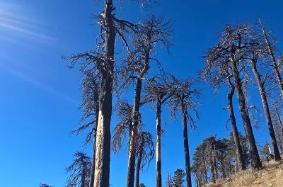 2024-11-01 09.21.44.jpg