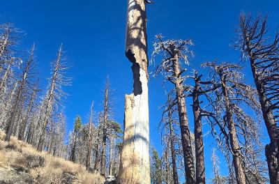 2024-11-01 09.24.17.jpg