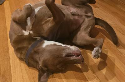 2024-11-01 17.48.40.jpg