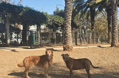 2024-11-11 10.20.08.jpg