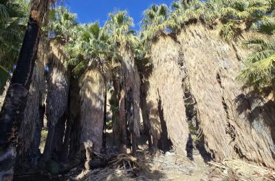 2024-12-16 10.30.05.jpg