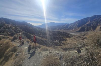 2024-12-17 11.18.29.jpg