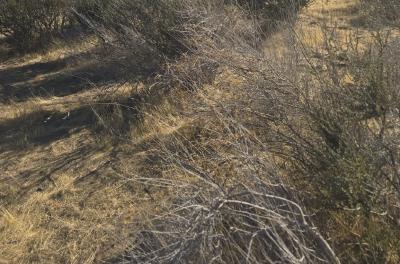 2024-12-17 13.15.51.jpg