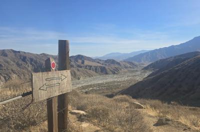 2024-12-17 13.27.48.jpg