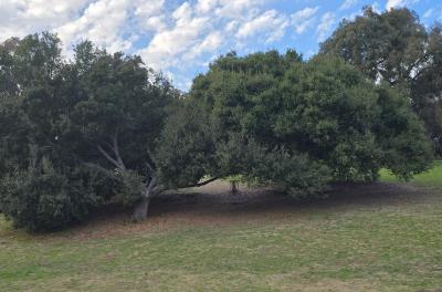 2025-02-28 16.39.40.jpg