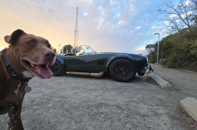 2025-02-28 17.22.46.jpg