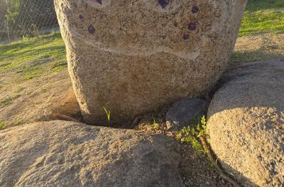 2025-03-02 17.19.54.jpg