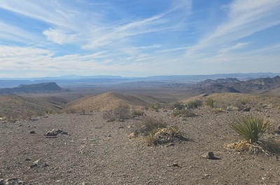20260205_154151.jpg