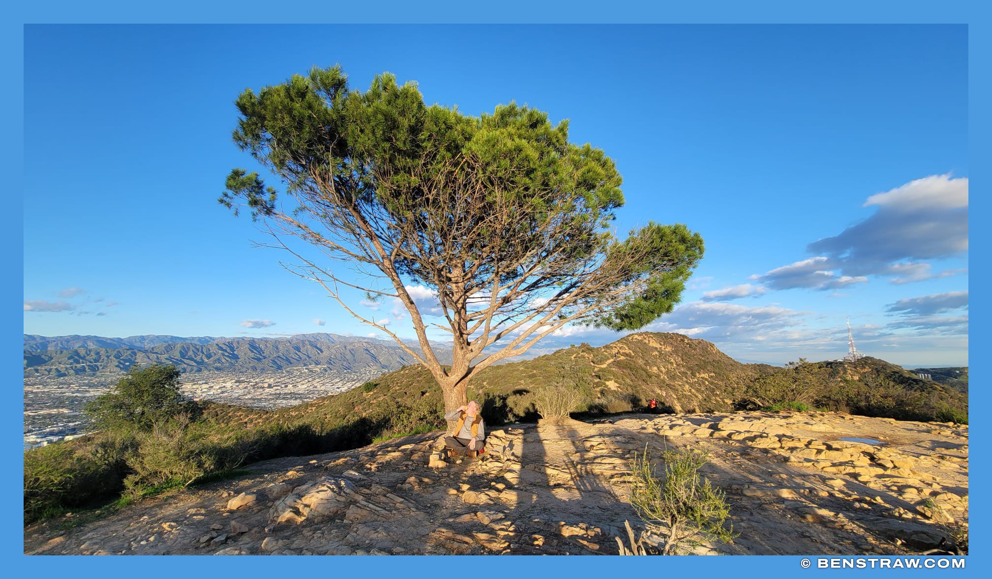 Photo of landscape, nature and wisdom tree in Los Angeles, California