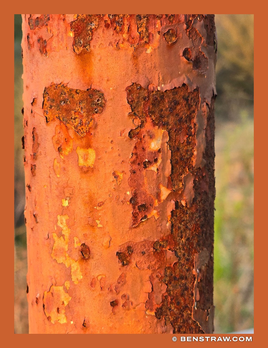 Photo of abstract and face