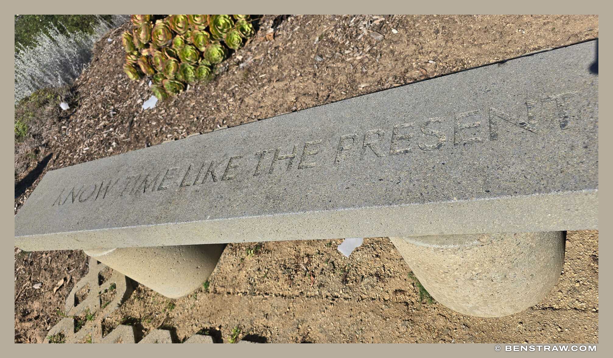 Photo of nature and time