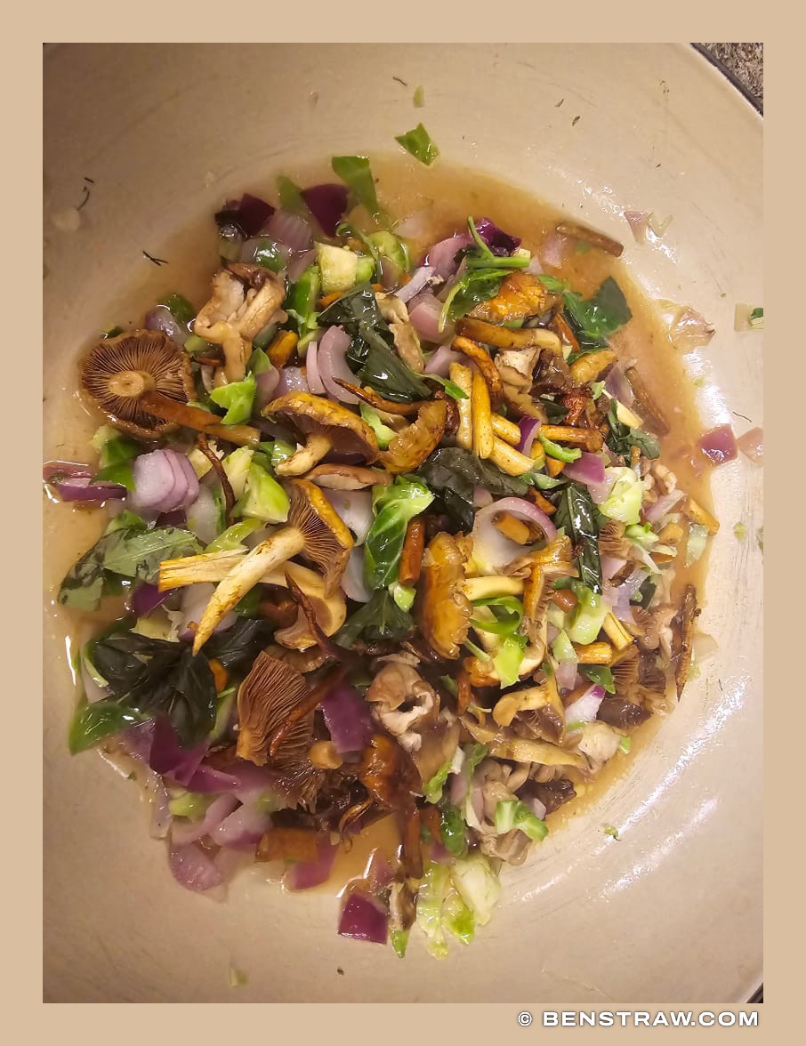 Photo of food, mushrooms and cooking