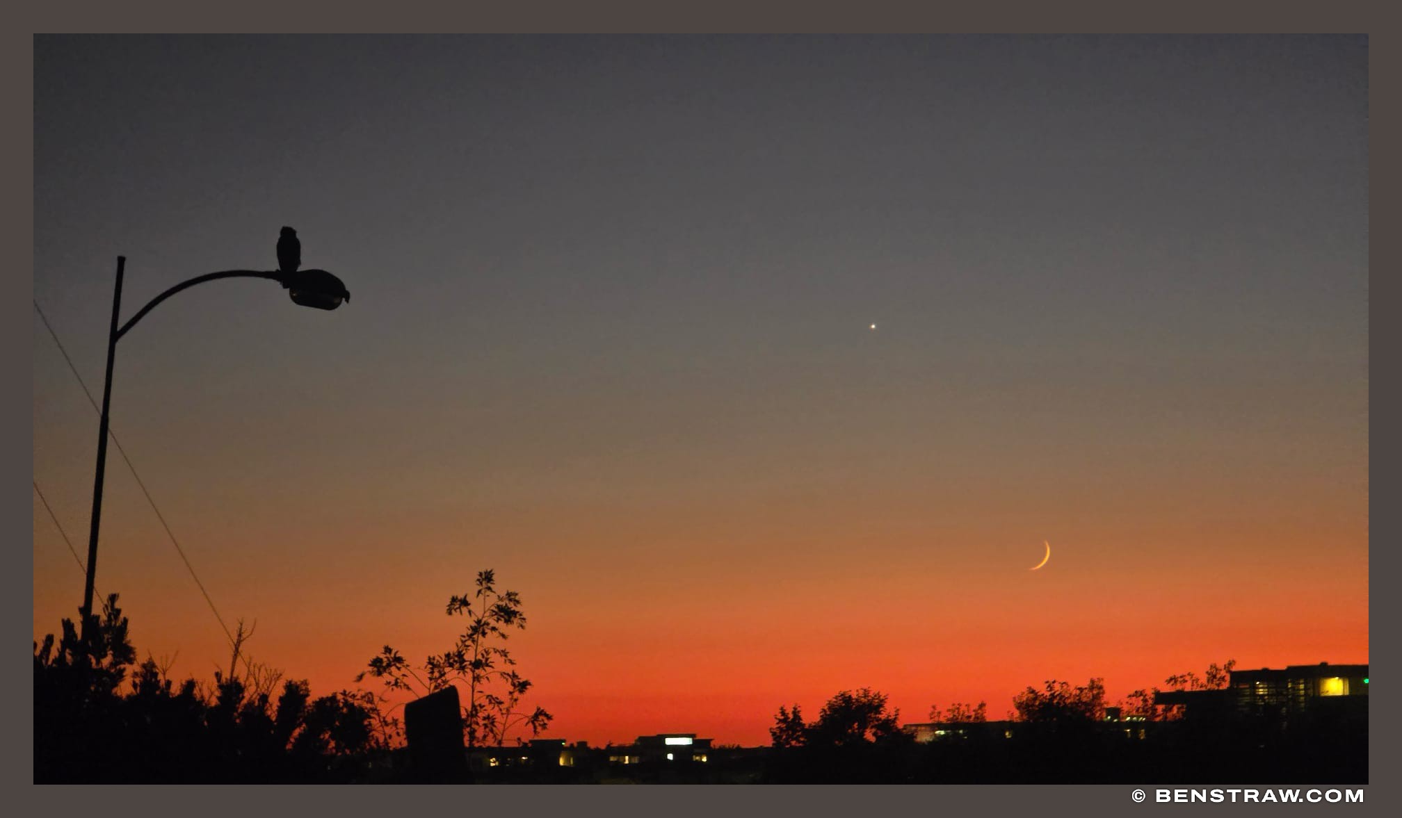 Photo of landscape, sunset and owl