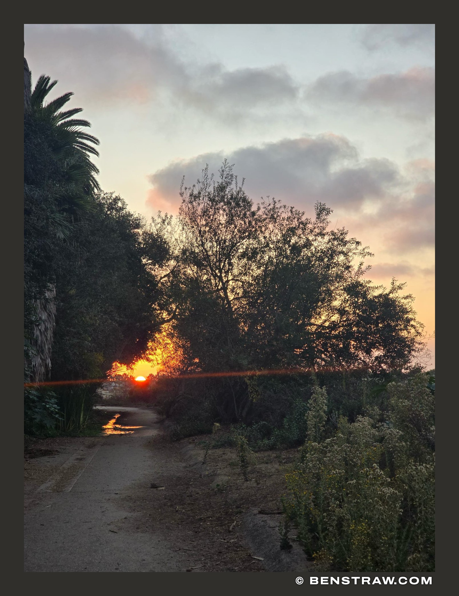 Photo of sunset and nature in Los Angeles, California