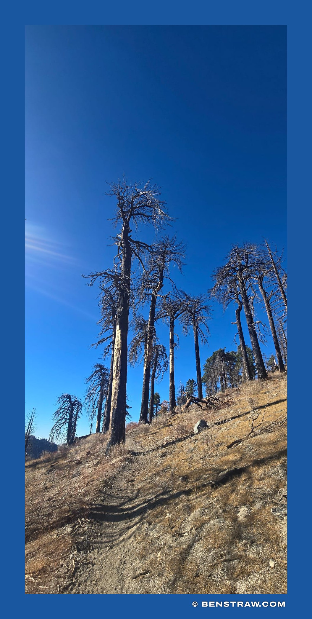 Photo of nature and landscape in Angeles National Forest, California