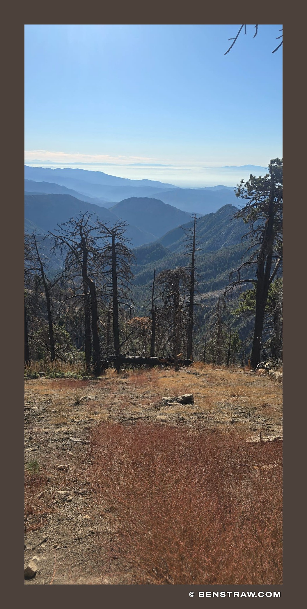 Photo of nature and landscape in Angeles National Forest, California