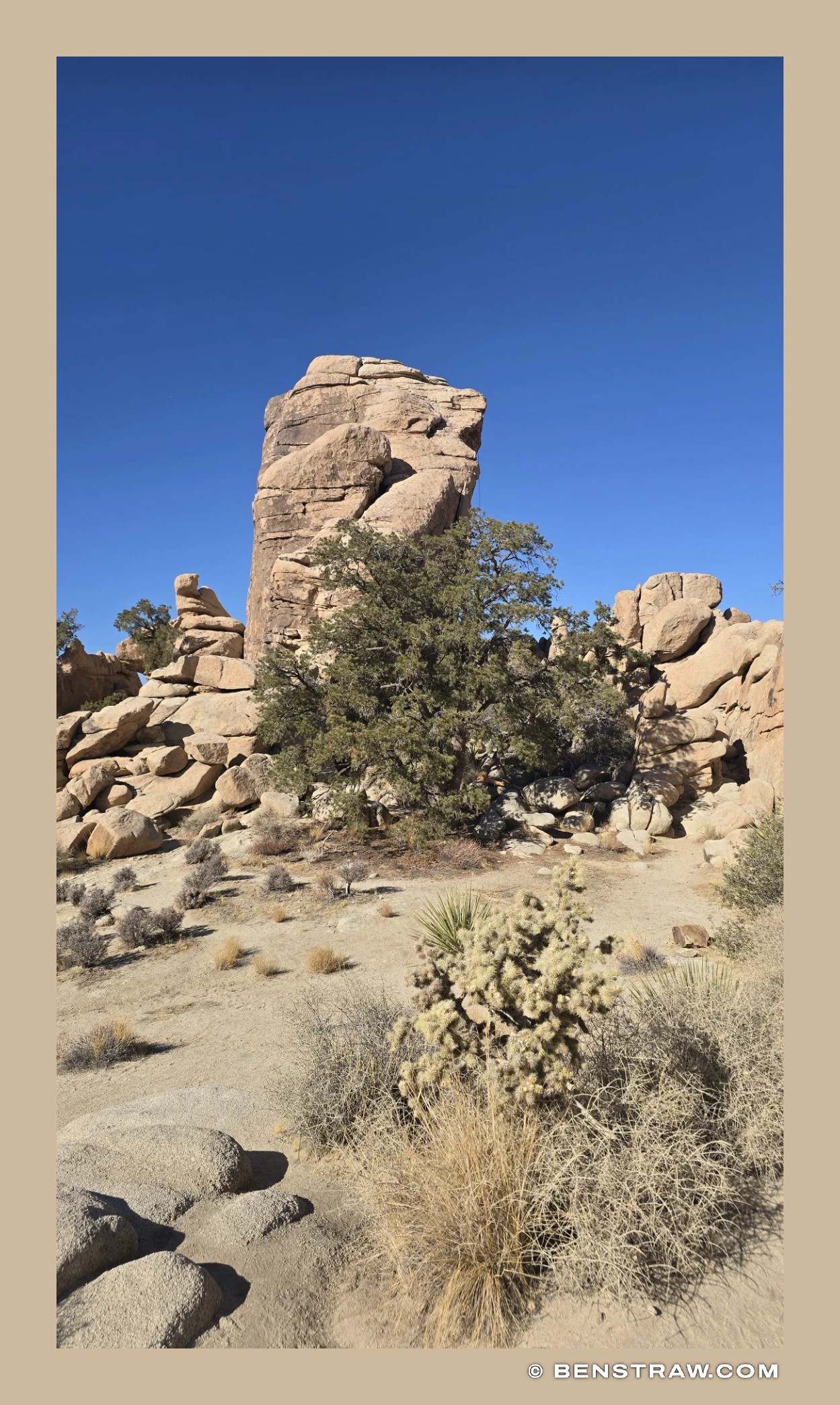 Photo of landscape, desert and National Park in Joshua Tree National Park, California