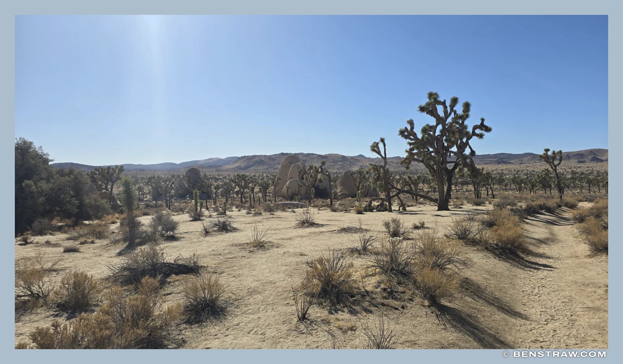 Photo of landscape, desert and National Park in Joshua Tree National Park, California
