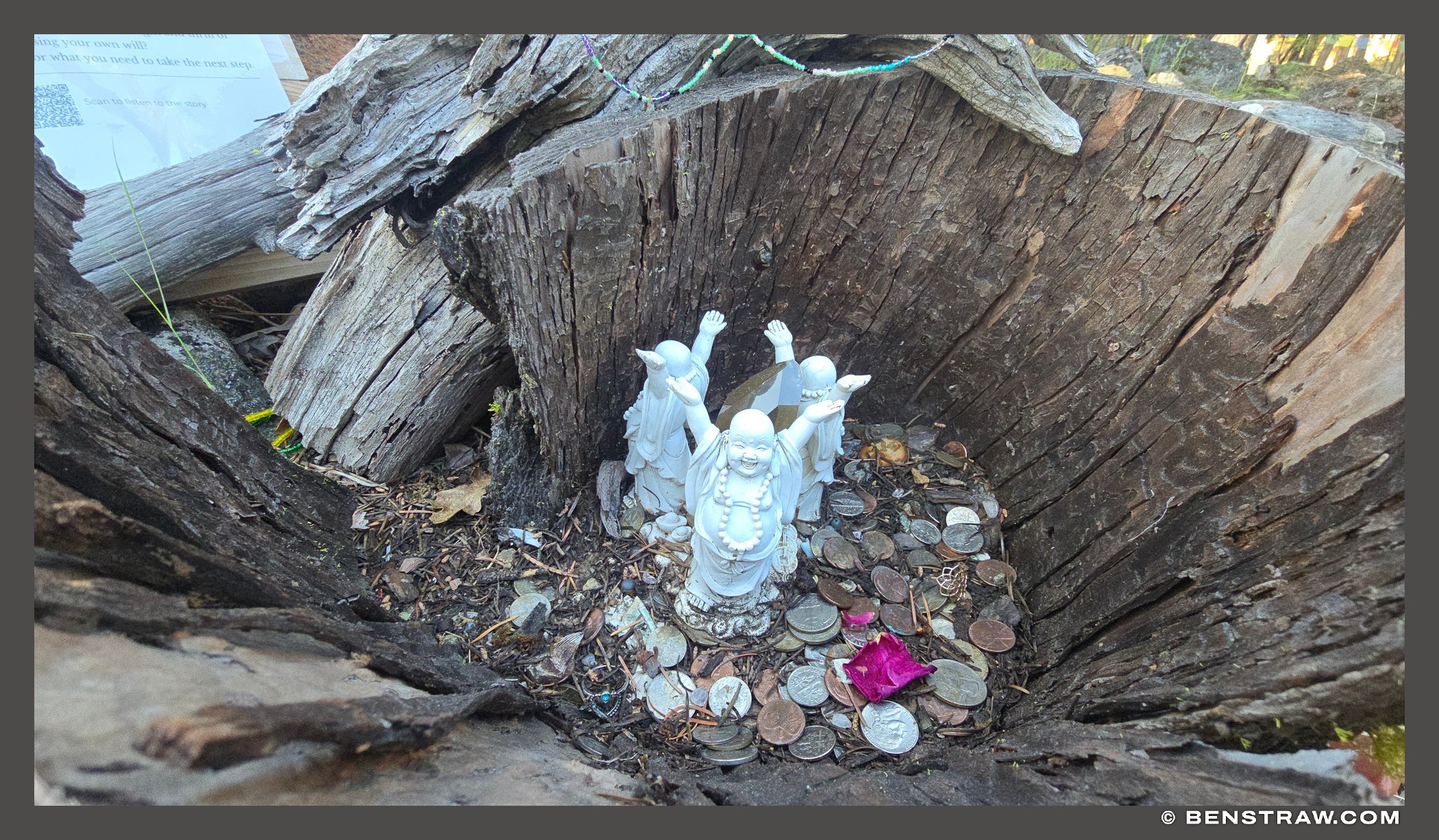 Photo of nature, laughing buddha and hotei in Mount Shasta, California