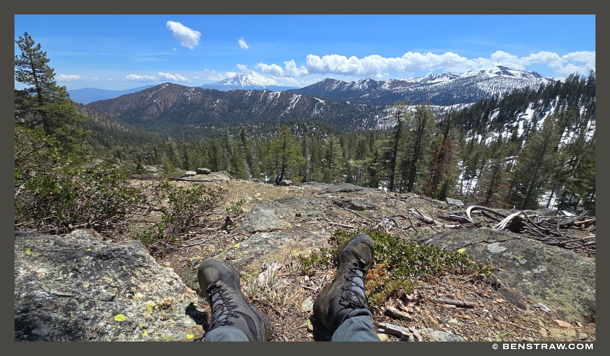 Photo of mount shasta and forest in Mount Shasta, California