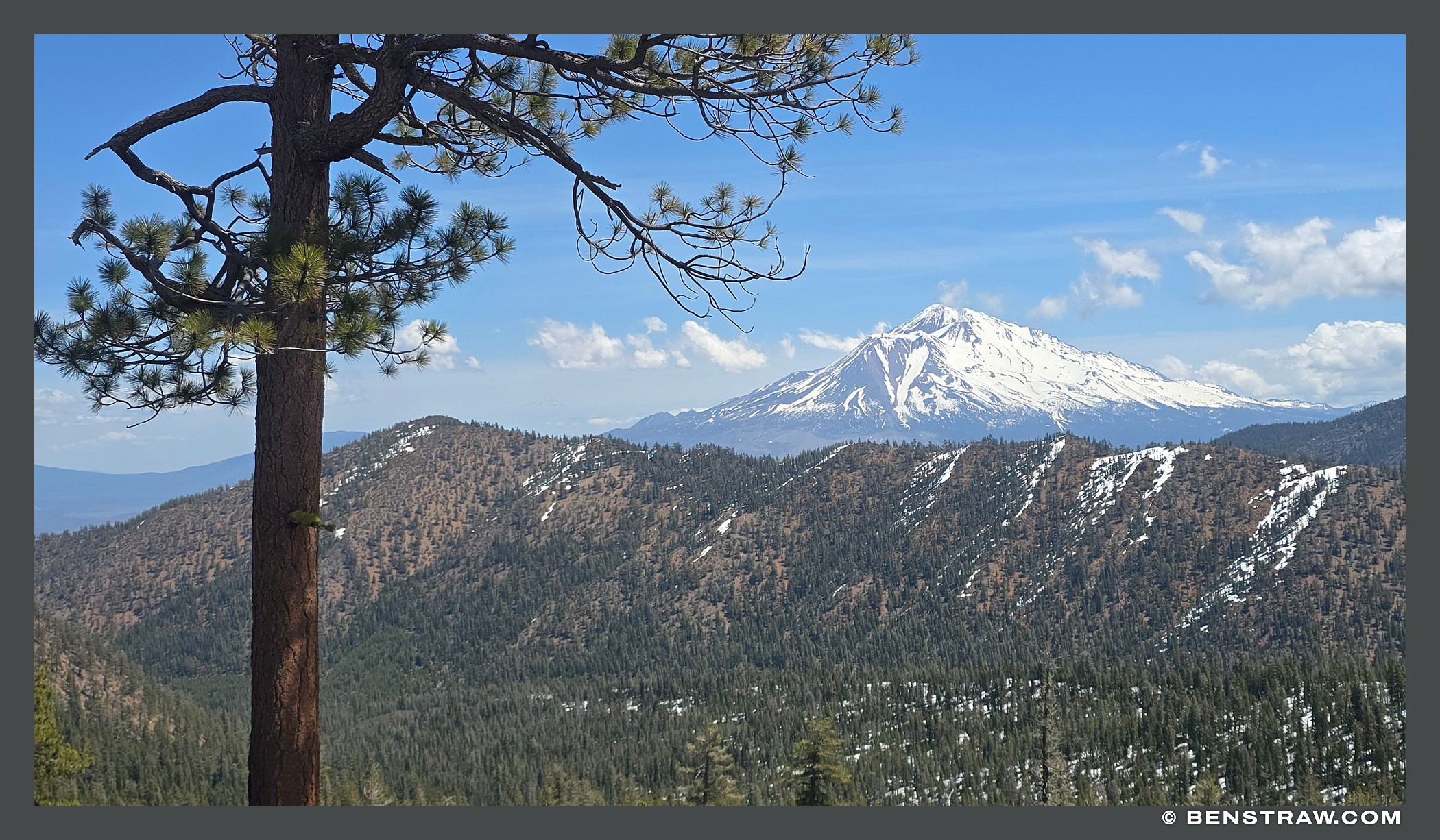Photo of mount shasta, forest and snow-capped peak in Mount Shasta, California