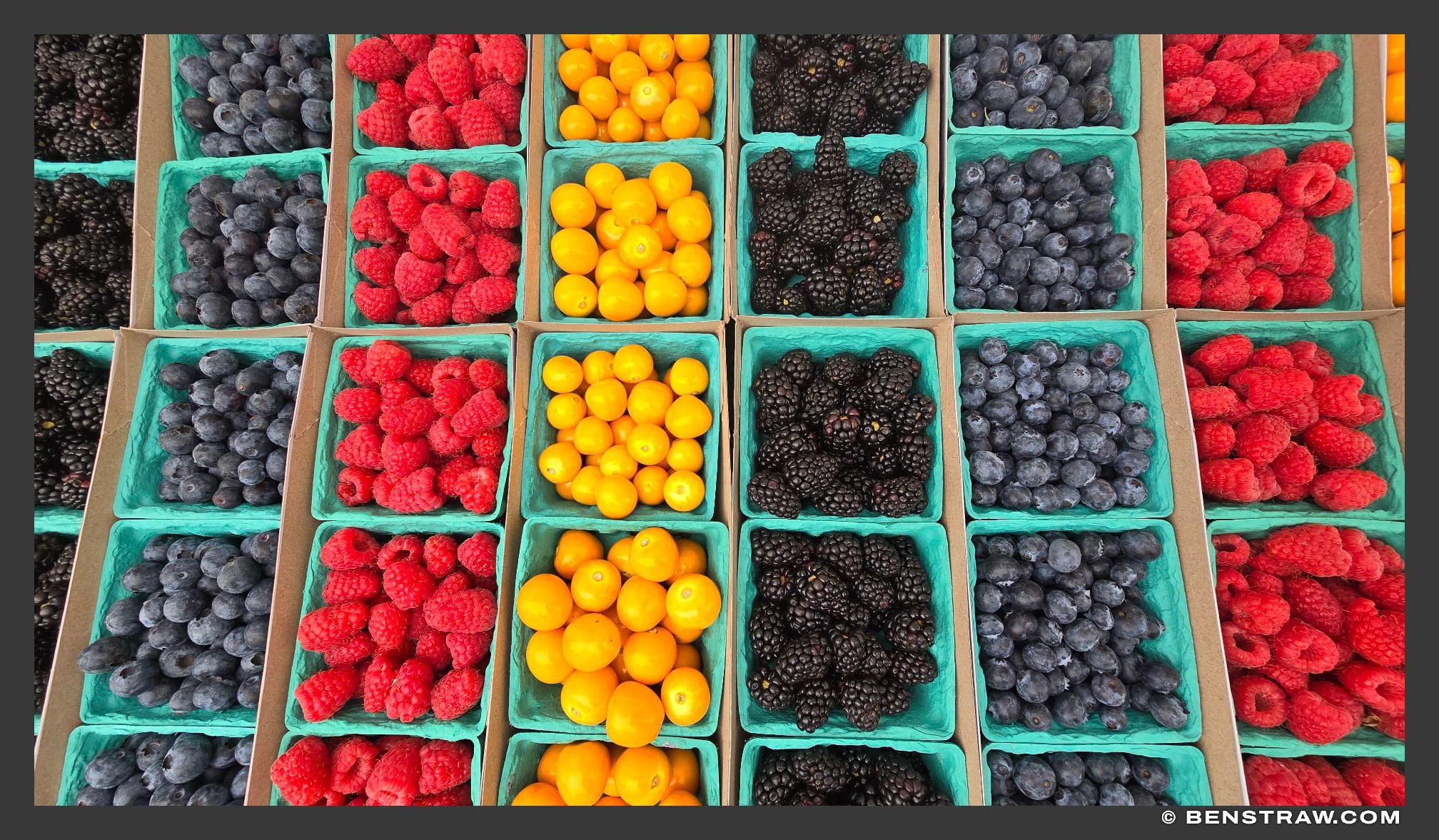 Berries by the Basket