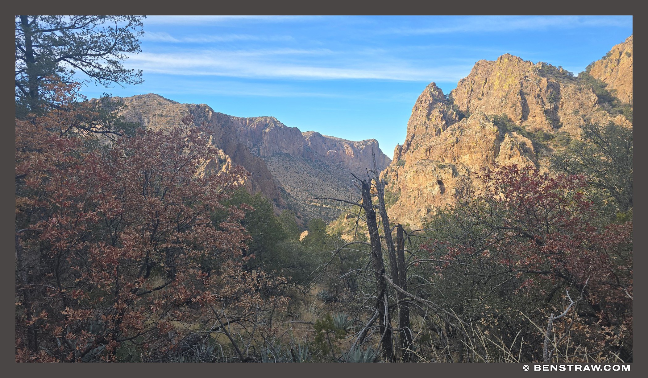 Chisos Ridge with Autumn Red