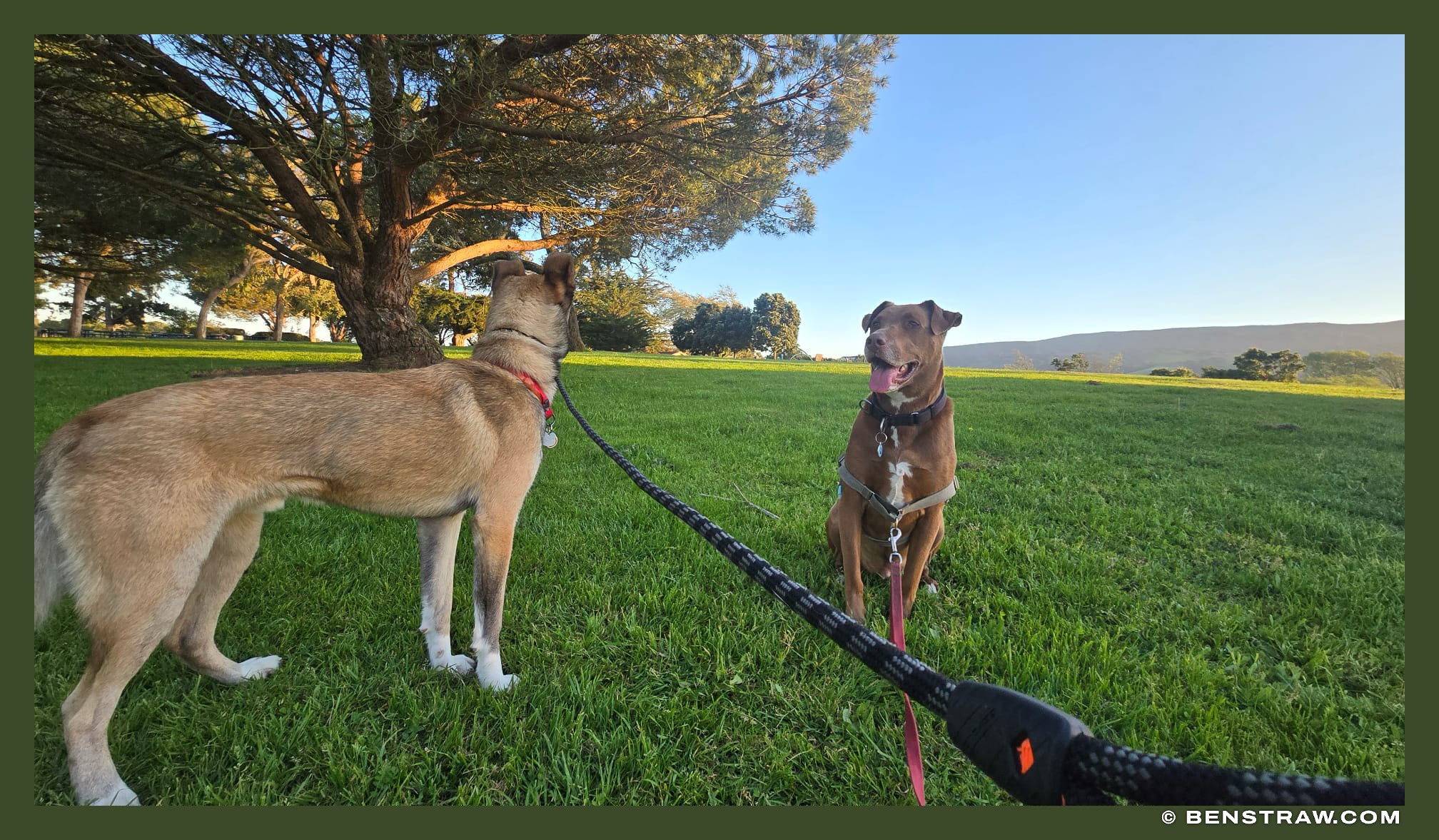 Evening Walk, San Luis Obispo