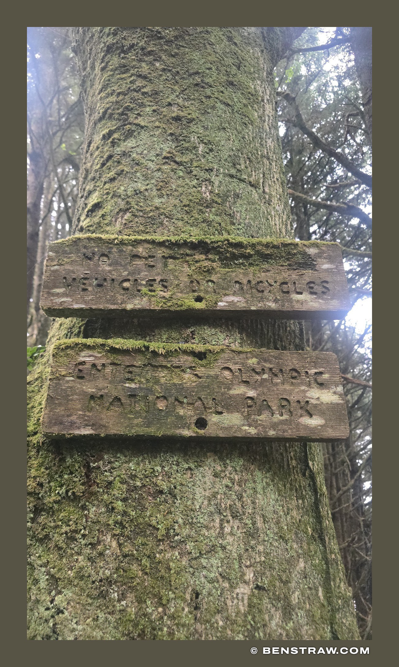 Olympic National Park Boundary Sign