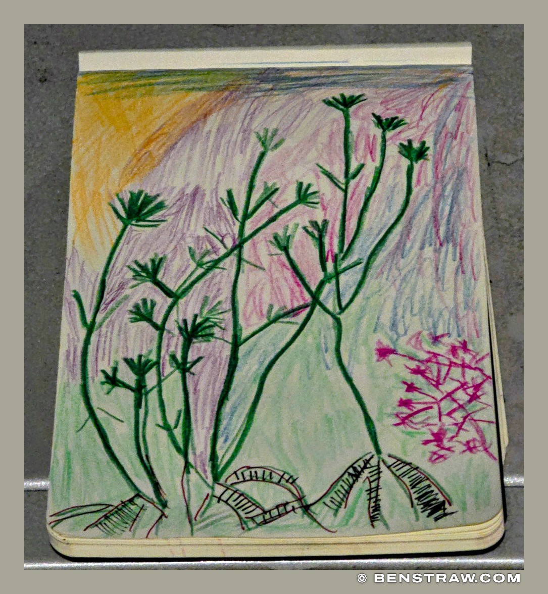 Pencil Garden