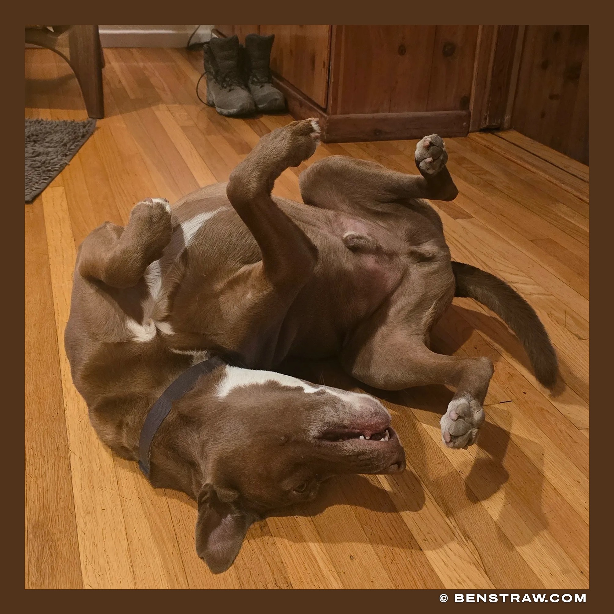 Rhys, Upside Down