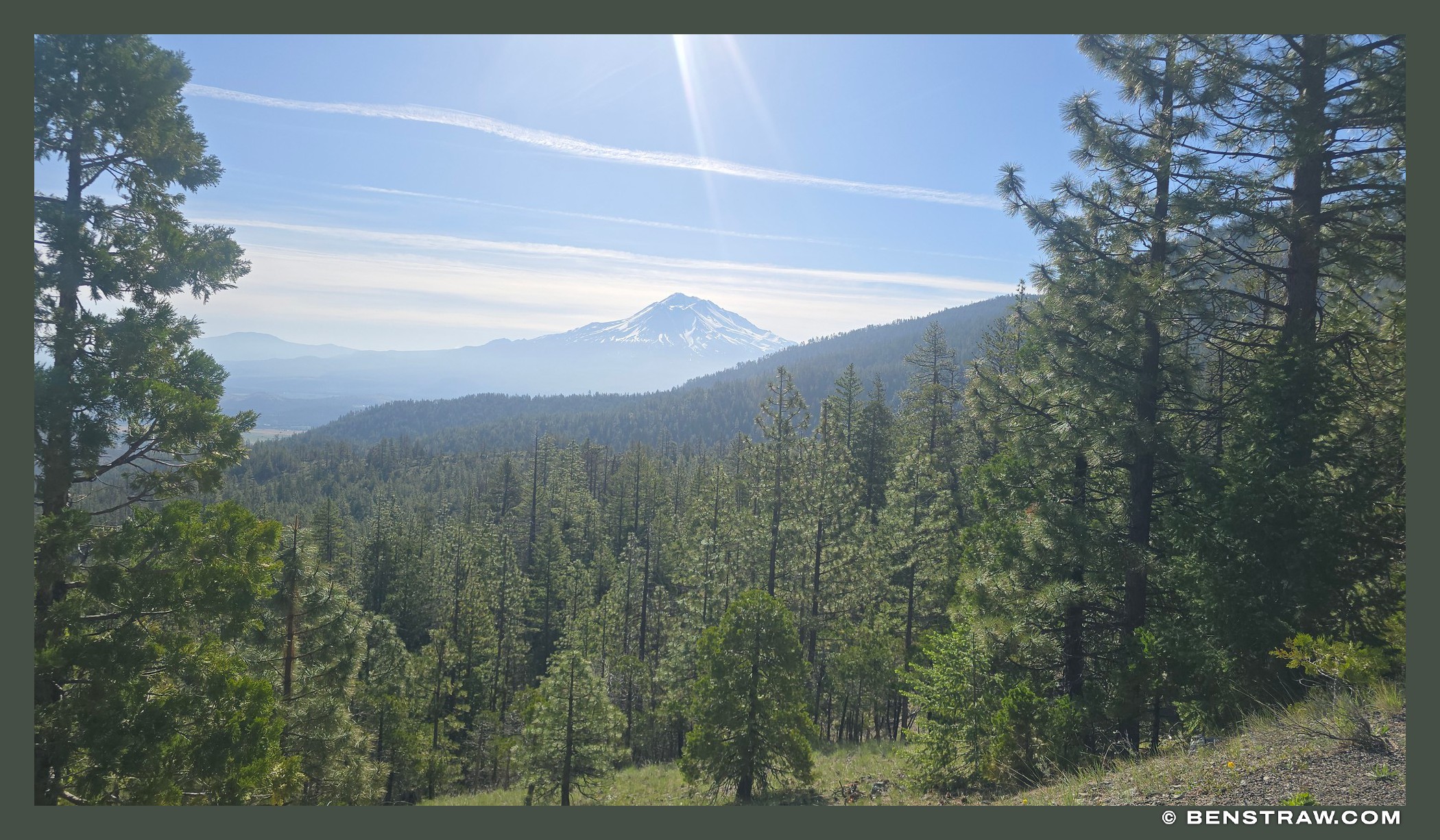 Shasta Beyond the Pines