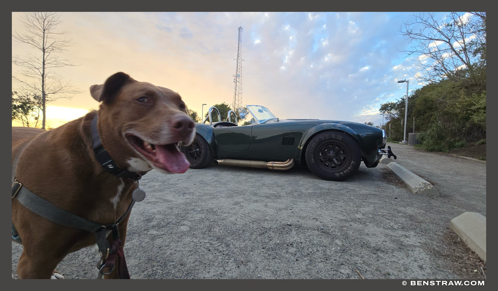Shelby Cobra
